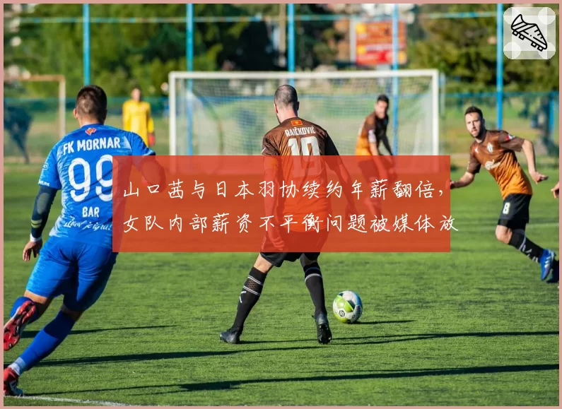 山口茜与日本羽协续约年薪翻倍,女队内部薪资不平衡问题被媒体放大