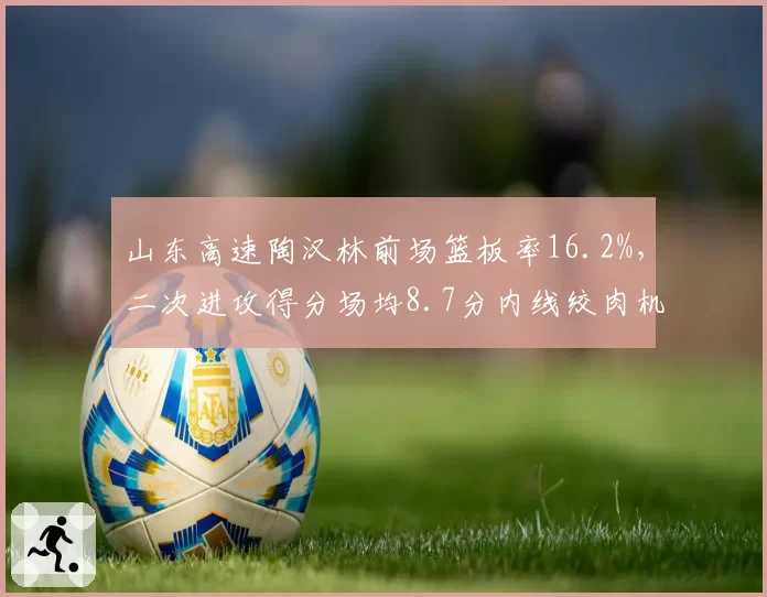 山东高速陶汉林前场篮板率16.2%，二次进攻得分场均8.7分内线绞肉机