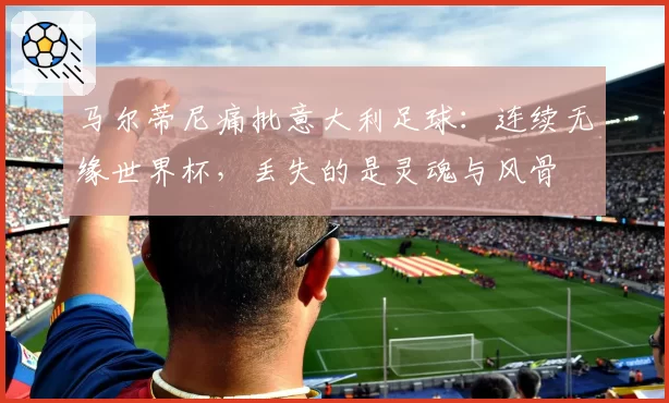 马尔蒂尼痛批意大利足球：连续无缘世界杯，丢失的是灵魂与风骨