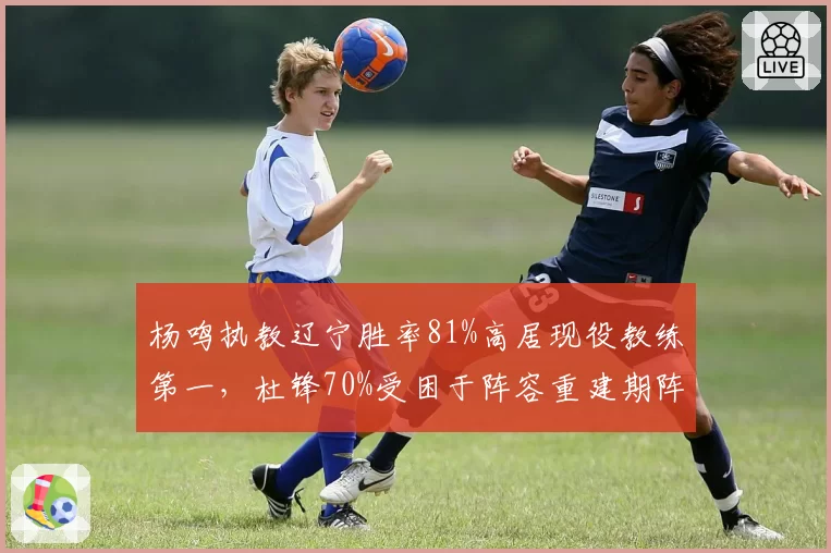 杨鸣执教辽宁胜率81%高居现役教练第一，杜锋70%受困于阵容重建期阵痛