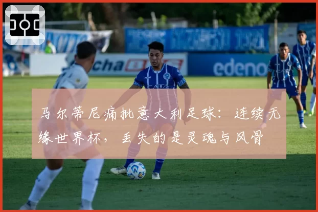 马尔蒂尼痛批意大利足球：连续无缘世界杯，丢失的是灵魂与风骨