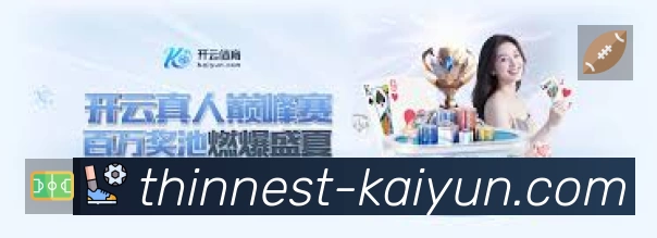 安全使用与支持流程